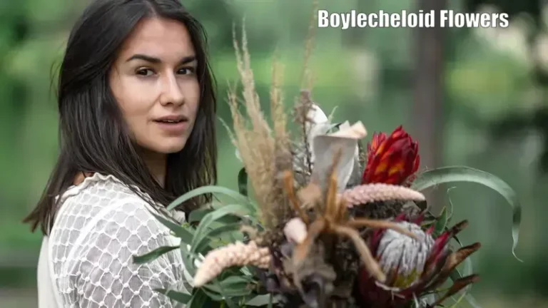 Reality of a Mysterious Flower