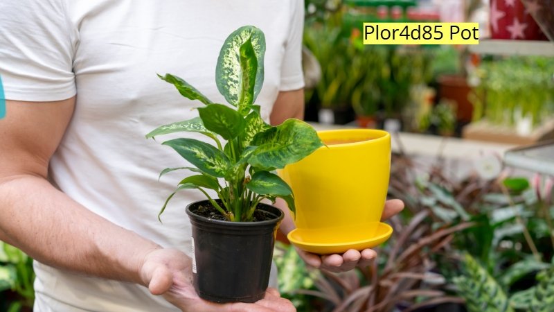 Plor4d85 Pot: Innovative Design for Today’s Garden Lovers